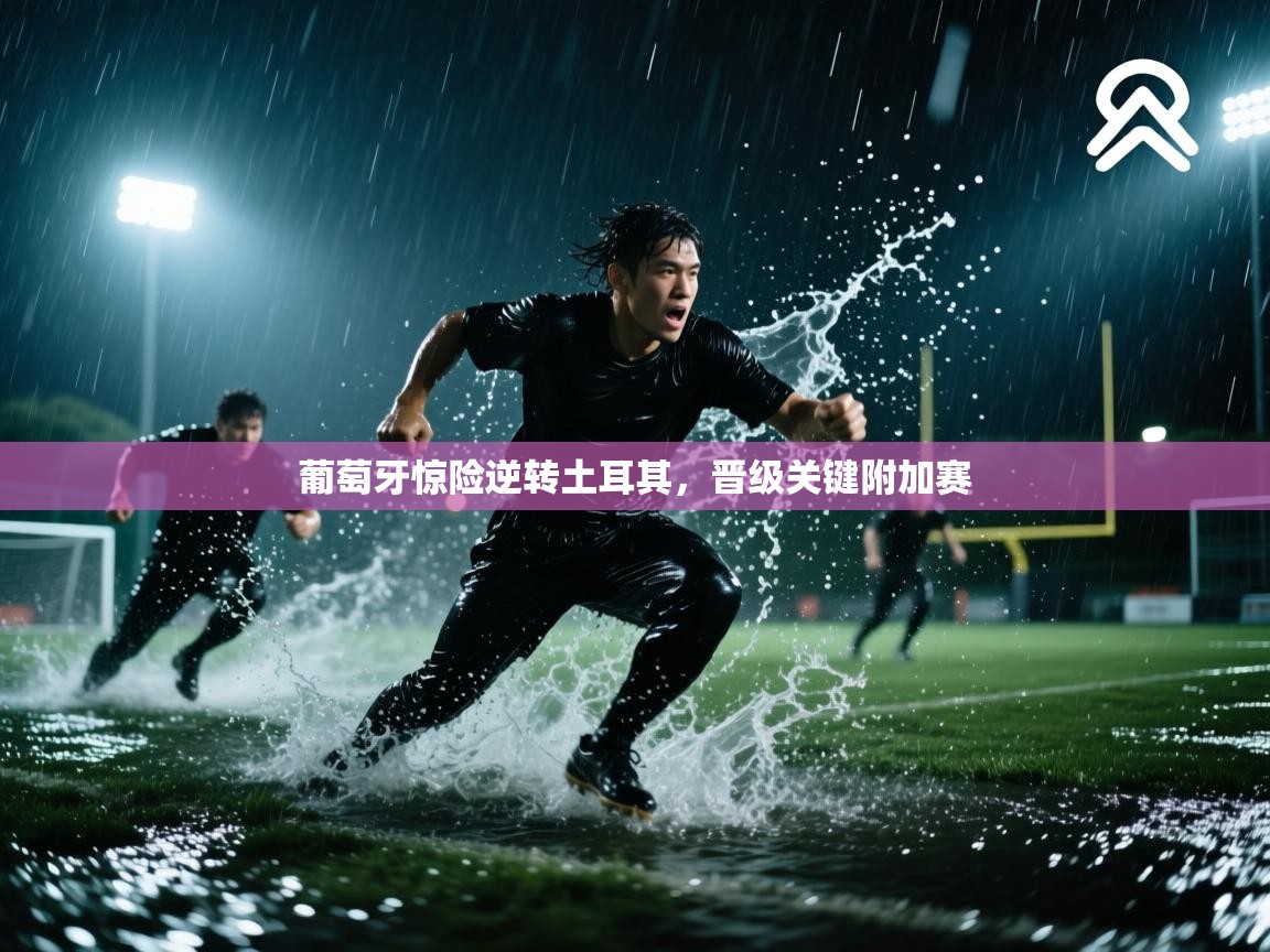 开云体育app登录入口-葡萄牙惊险逆转土耳其，晋级关键附加赛  第2张