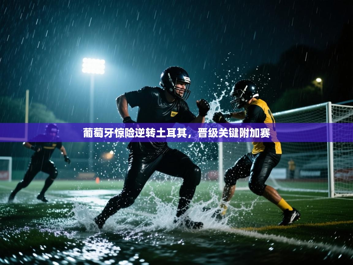 开云体育app登录入口-葡萄牙惊险逆转土耳其，晋级关键附加赛  第1张