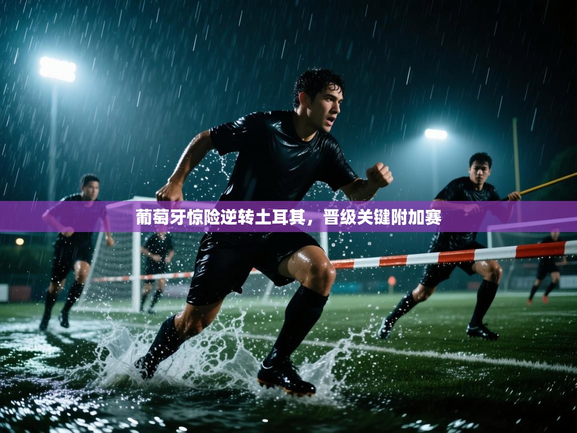 开云体育app登录入口-葡萄牙惊险逆转土耳其，晋级关键附加赛  第3张