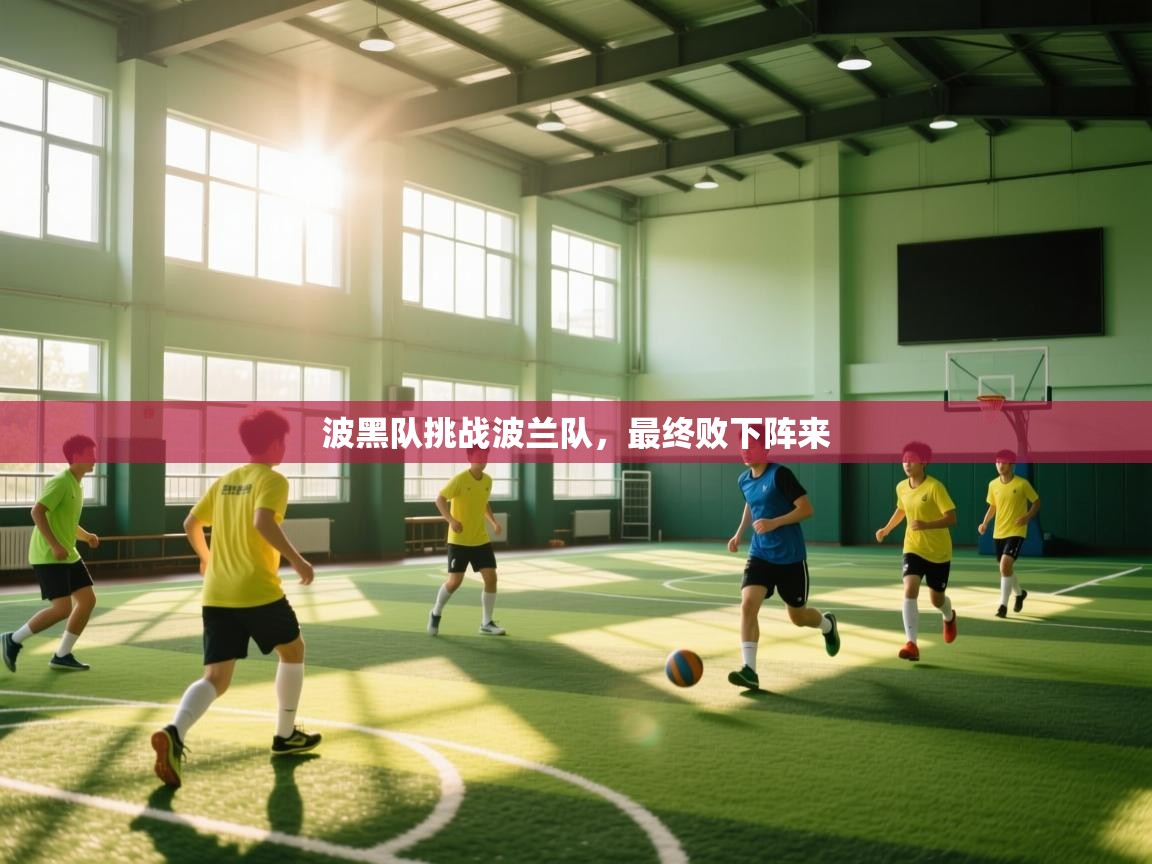 开云体育消息订阅关闭-波黑队挑战波兰队，最终败下阵来  第1张