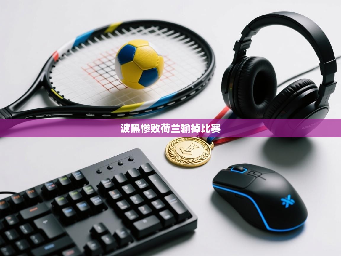 开云体育在线登录-波黑惨败荷兰输掉比赛  第4张