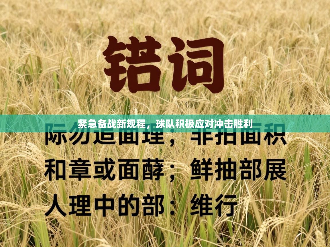 开云体育注册-紧急备战新规程，球队积极应对冲击胜利  第4张