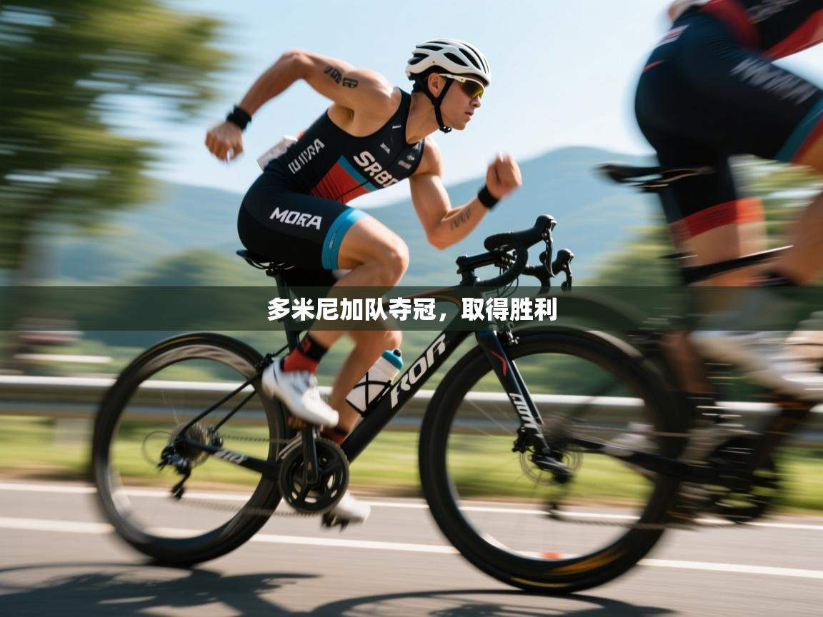 kaiyun sports-多米尼加队夺冠,取得胜利 第4张